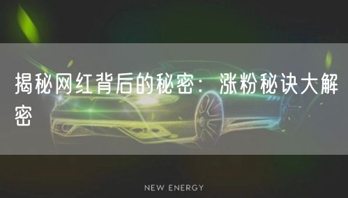 揭秘网红背后的秘密：涨粉秘诀大解密