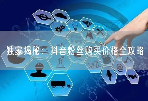 独家揭秘：抖音粉丝购买价格全攻略