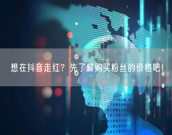 想在抖音走红？先了解购买粉丝的价格吧！