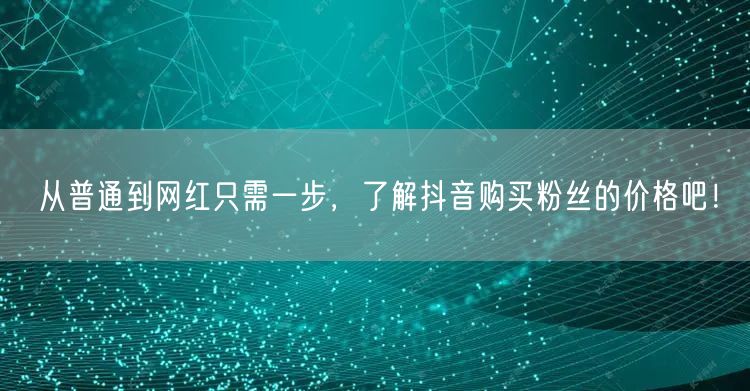 从普通到网红只需一步，了解抖音购买粉丝的价格吧！