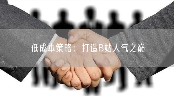 低成本策略：打造B站人气之巅