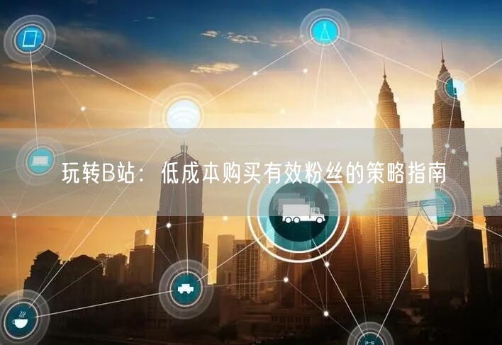 玩转B站：低成本购买有效粉丝的策略指南