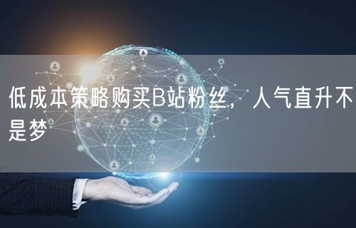 低成本策略购买B站粉丝，人气直升不是梦