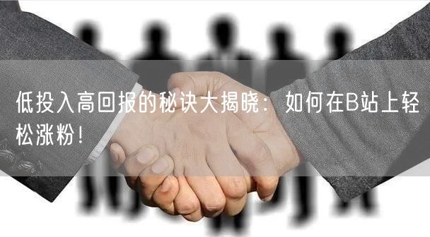 低投入高回报的秘诀大揭晓：如何在B站上轻松涨粉！