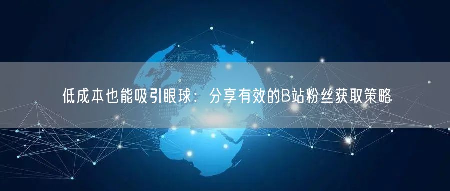 低成本也能吸引眼球：分享有效的B站粉丝获取策略
