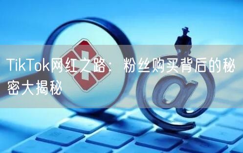 TikTok网红之路：粉丝购买背后的秘密大揭秘