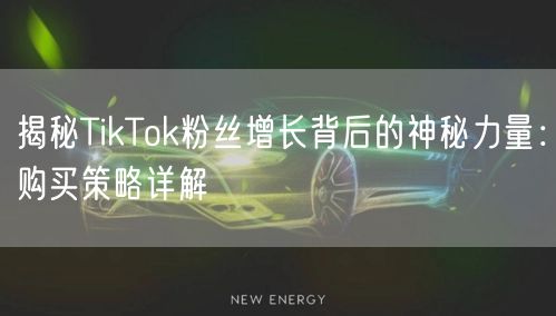 揭秘TikTok粉丝增长背后的神秘力量：购买策略详解