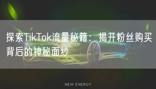 探索TikTok流量秘籍：揭开粉丝购买背后的神秘面纱
