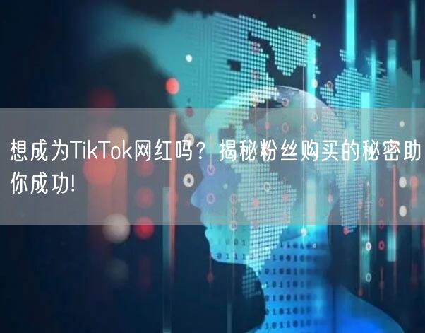 想成为TikTok网红吗？揭秘粉丝购买的秘密助你成功!