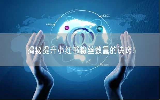 揭秘提升小红书粉丝数量的诀窍！