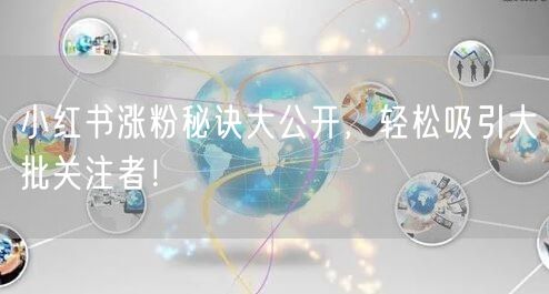 小红书涨粉秘诀大公开，轻松吸引大批关注者！