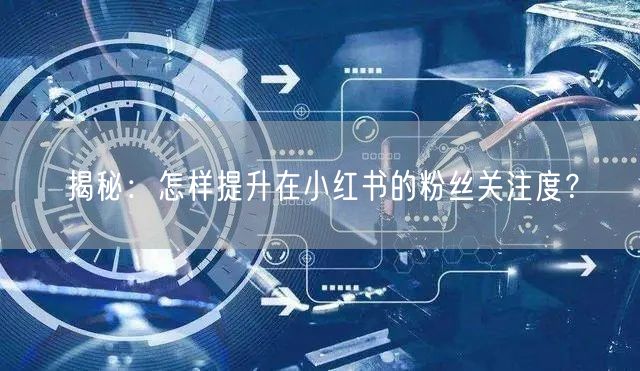 揭秘：怎样提升在小红书的粉丝关注度？