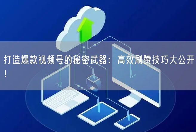 打造爆款视频号的秘密武器：高效刷赞技巧大公开！