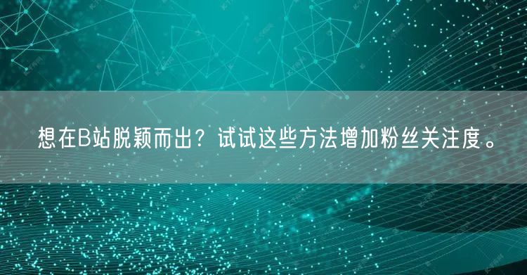 想在B站脱颖而出？试试这些方法增加粉丝关注度。