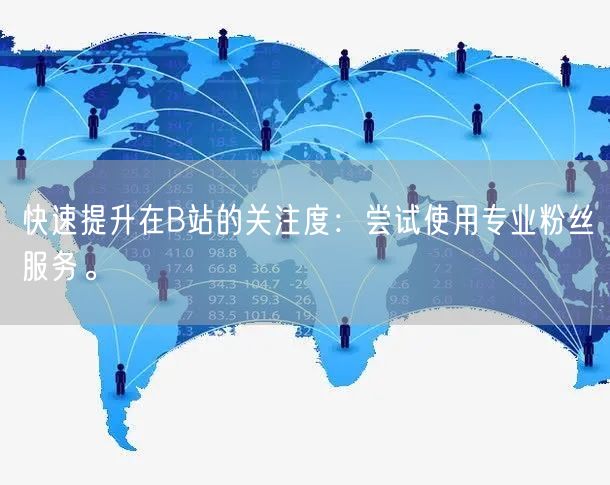 快速提升在B站的关注度：尝试使用专业粉丝服务。