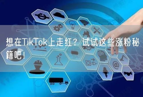 想在TikTok上走红？试试这些涨粉秘籍吧！