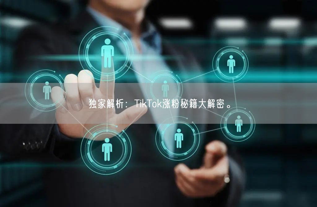 独家解析：TikTok涨粉秘籍大解密。