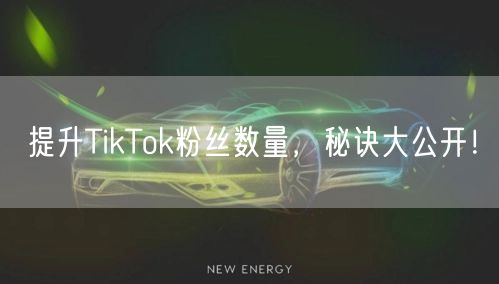 提升TikTok粉丝数量，秘诀大公开！