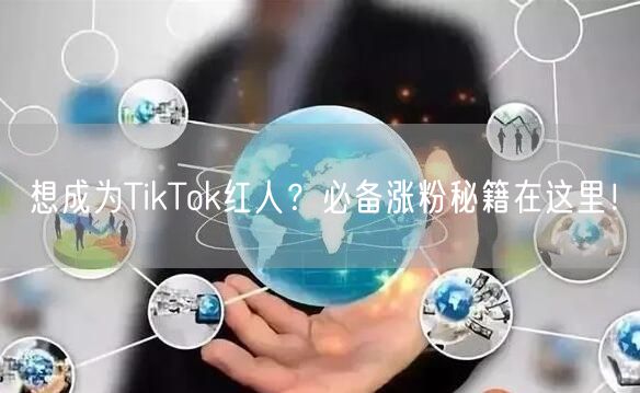 想成为TikTok红人？必备涨粉秘籍在这里！
