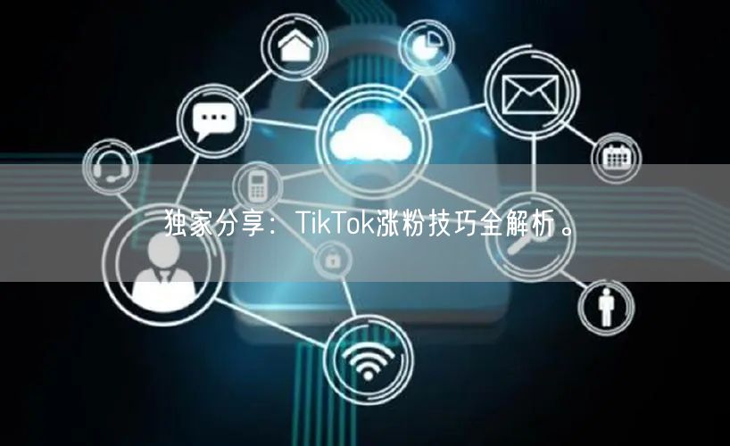 独家分享：TikTok涨粉技巧全解析。