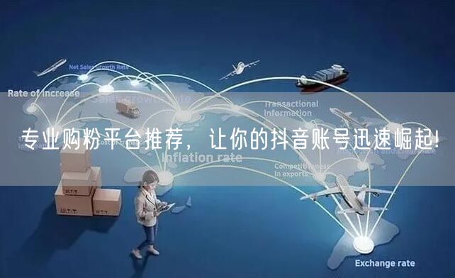专业购粉平台推荐，让你的抖音账号迅速崛起!