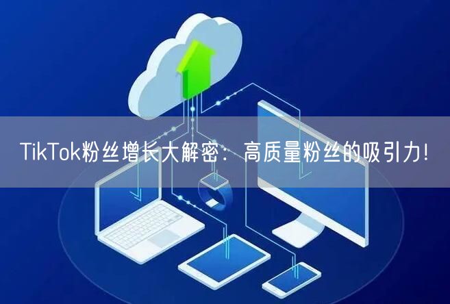 TikTok粉丝增长大解密：高质量粉丝的吸引力！