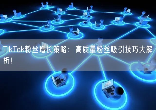TikTok粉丝增长策略：高质量粉丝吸引技巧大解析！
