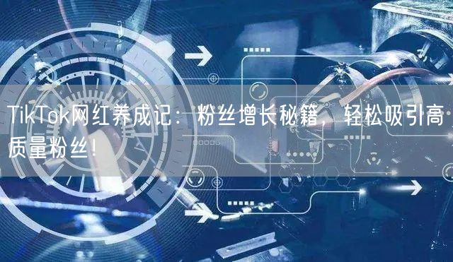 TikTok网红养成记：粉丝增长秘籍，轻松吸引高质量粉丝！