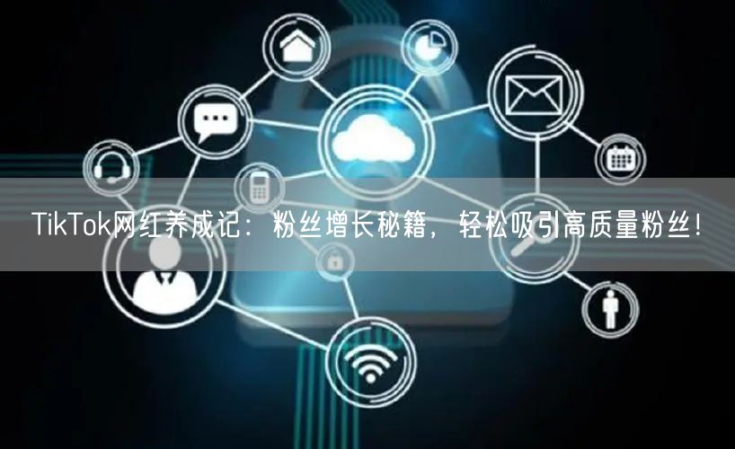 TikTok网红养成记：粉丝增长秘籍，轻松吸引高质量粉丝！