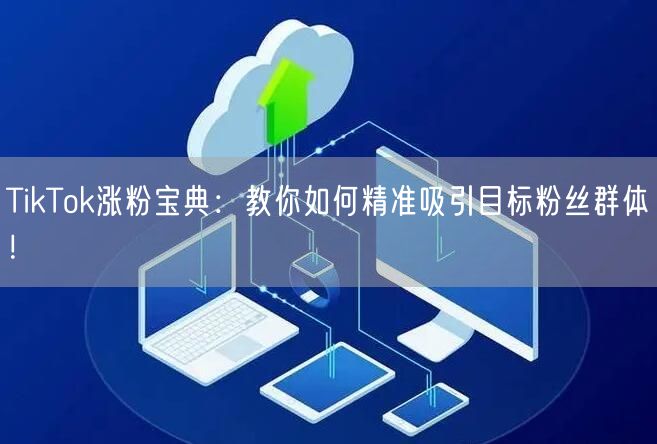TikTok涨粉宝典：教你如何精准吸引目标粉丝群体！