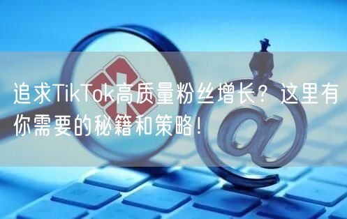 追求TikTok高质量粉丝增长？这里有你需要的秘籍和策略！