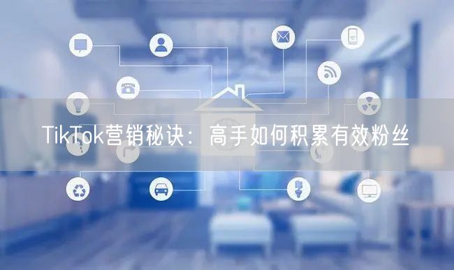 TikTok营销秘诀：高手如何积累有效粉丝