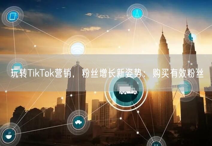 玩转TikTok营销，粉丝增长新姿势：购买有效粉丝