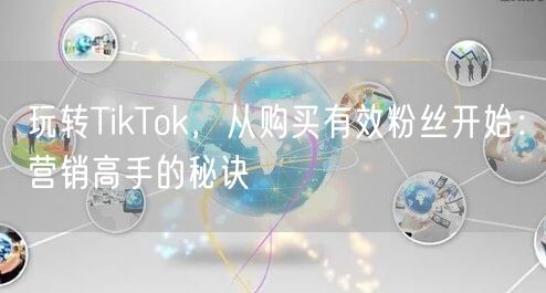 玩转TikTok，从购买有效粉丝开始：营销高手的秘诀