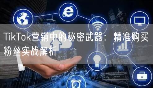 TikTok营销中的秘密武器：精准购买粉丝实战解析