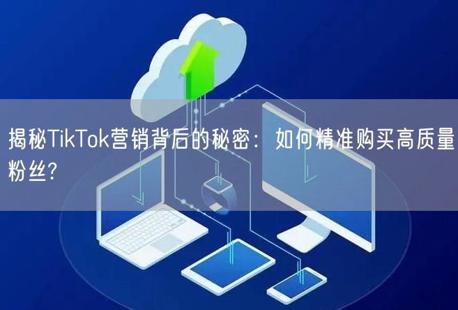 揭秘TikTok营销背后的秘密：如何精准购买高质量粉丝?