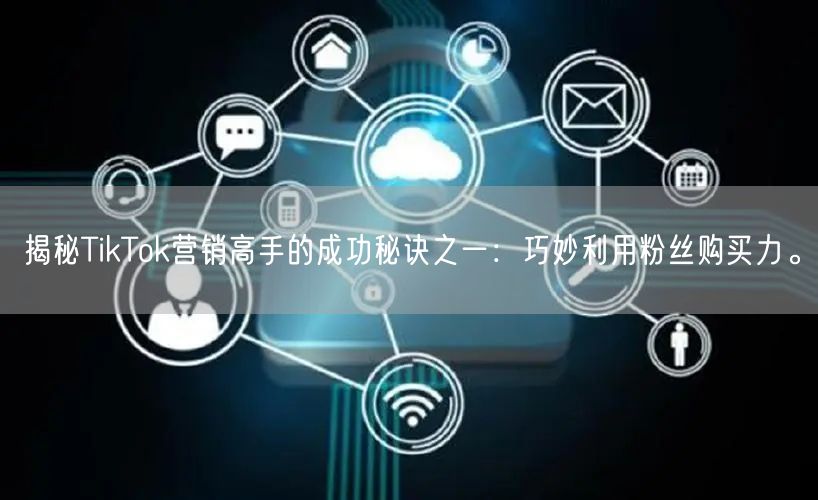 揭秘TikTok营销高手的成功秘诀之一：巧妙利用粉丝购买力。