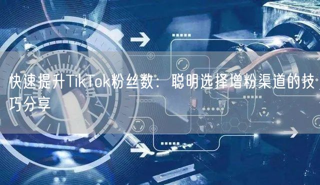 快速提升TikTok粉丝数：聪明选择增粉渠道的技巧分享