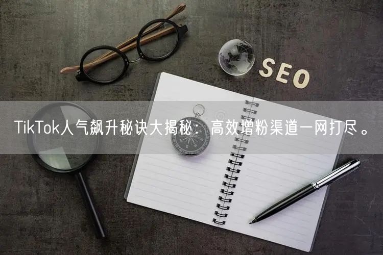 TikTok人气飙升秘诀大揭秘：高效增粉渠道一网打尽。