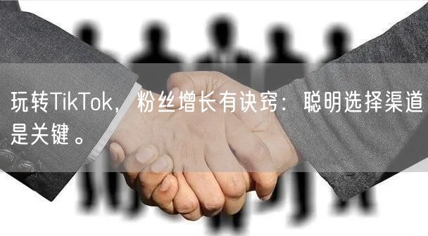 玩转TikTok，粉丝增长有诀窍：聪明选择渠道是关键。