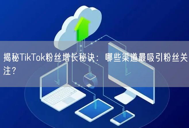 揭秘TikTok粉丝增长秘诀：哪些渠道最吸引粉丝关注？