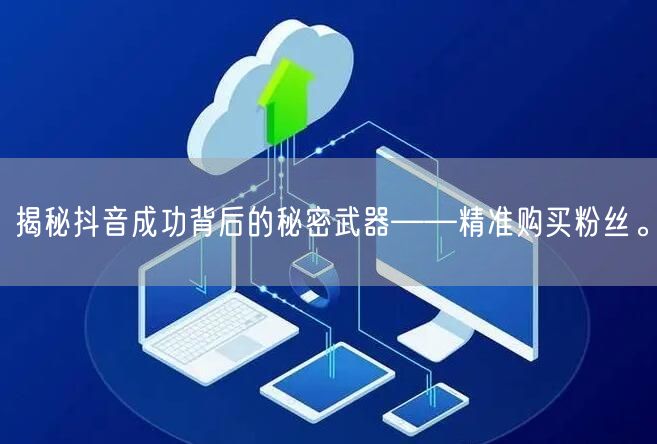 揭秘抖音成功背后的秘密武器——精准购买粉丝。